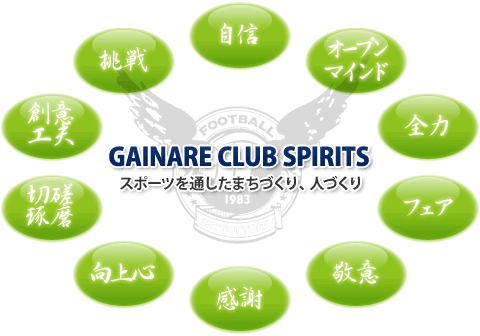 ガイナーレスピリッツ